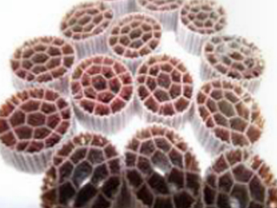 高效脫氮工藝（以ANAMMOX厭氧氨氧化為核心）